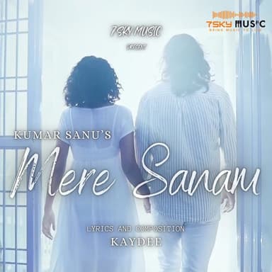 Mere Sanam playlist cover