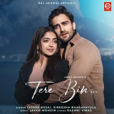 Tere Bin… playlist cover