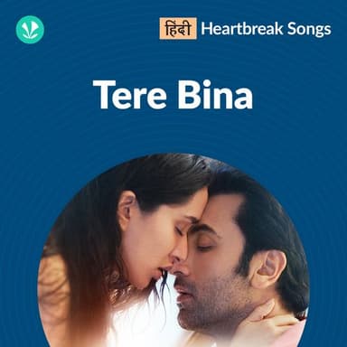 Tere Bina playlist cover
